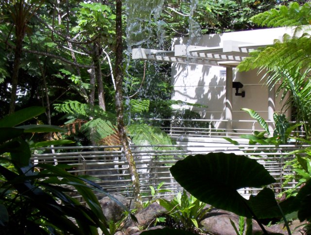 rainforestvisitorscenter.jpg