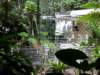 rainforestvisitorscenter_small.jpg